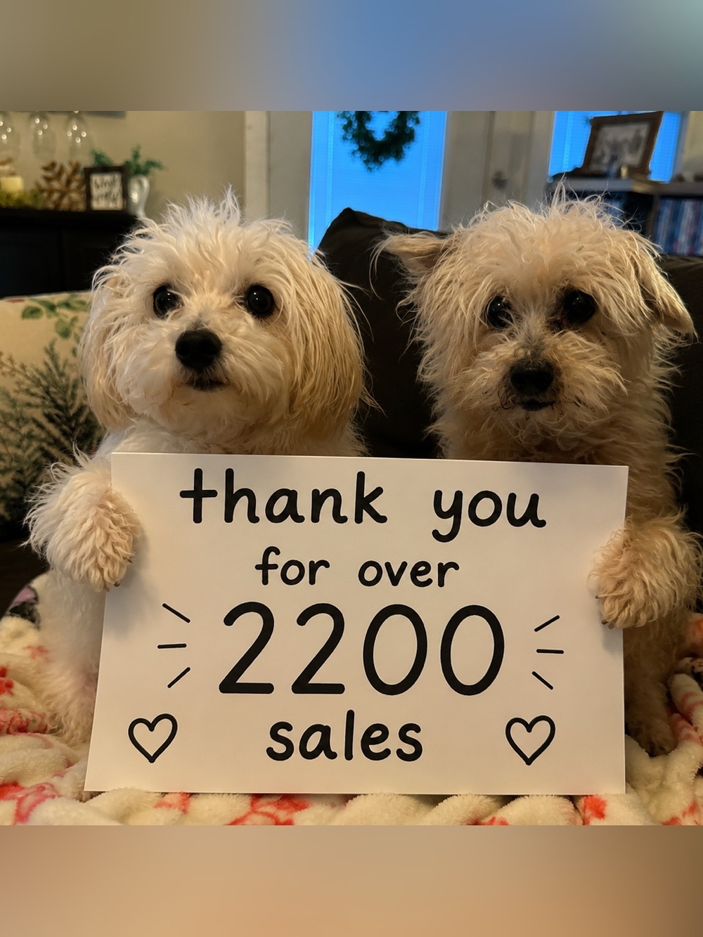 Thank you for shopping my Closet!